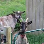 Du Joliment Contigny