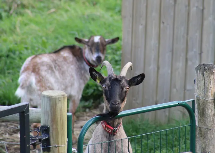 Du Joliment Contigny